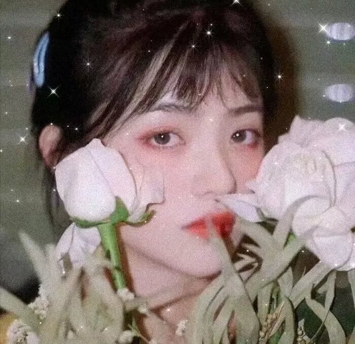 本和我